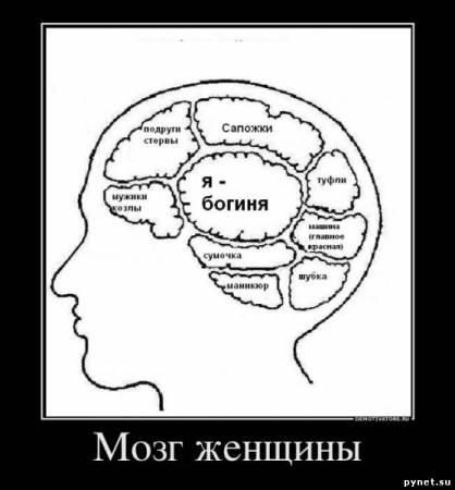 Пол слабый.... А мозг?