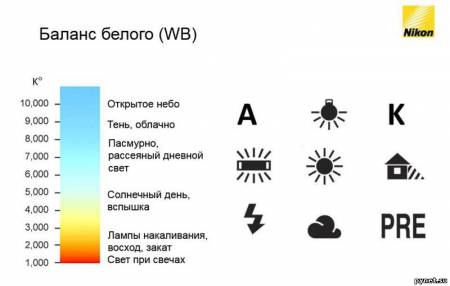 ЗНФ: Баланс белого, планы съемки, выделение главного и перспектива 2