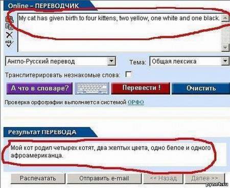 Позитивчик на тему "Надписи и объявления" 2