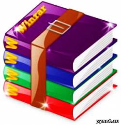 WinRAR 3.91 (Официальная русская версия)