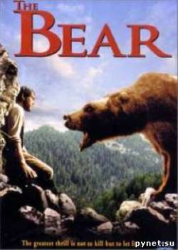Медведь / Ours, L'