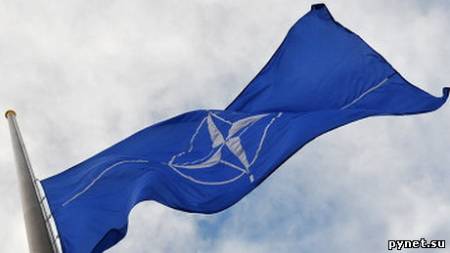 Осенняя сессия Парламентской ассамблеи НАТО открылась в Варшаве