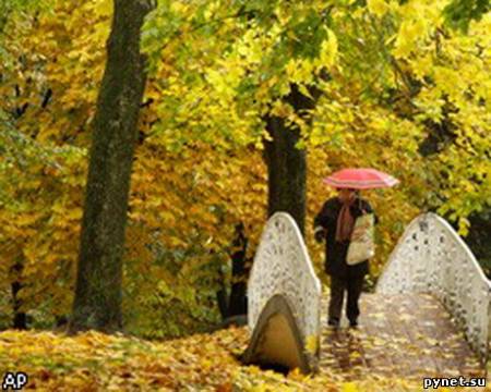 Москвичи вновь наблюдают температурный рекорд в ноябре