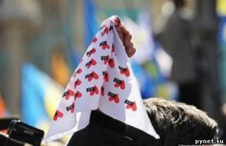 БЮТ пойдет судом на ЦИК за необъявленные выборы