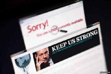 Visa засудят за блокировку платежей в адрес WikiLeaks