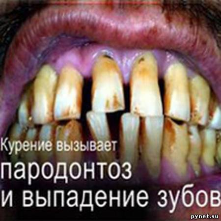 Курильщиков будут пытать испугом