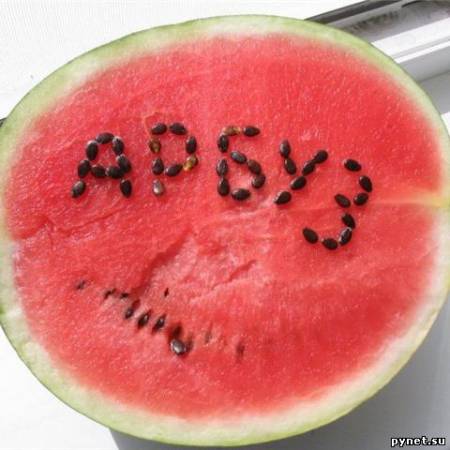 Вот какой у нас арбуз! Но случился с ним конфуз…