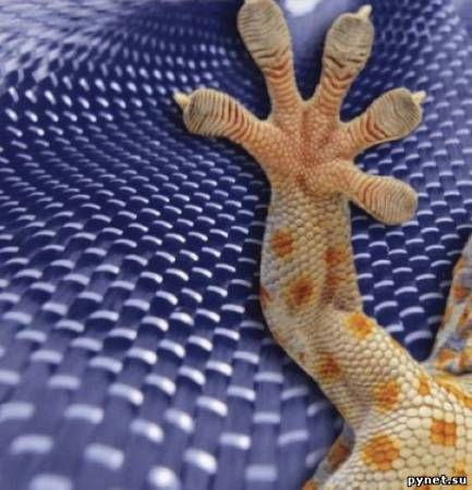 Geckskin — новая сверхлипкая ткань
