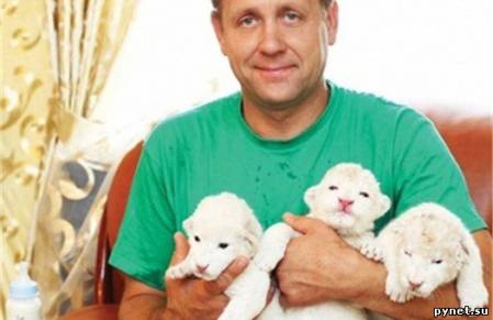 В ялтинском зоопарке «Сказка» родились пять редких белых львят. Изображение 2