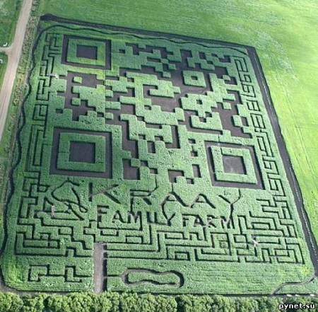 Самый большой в мире QR-код